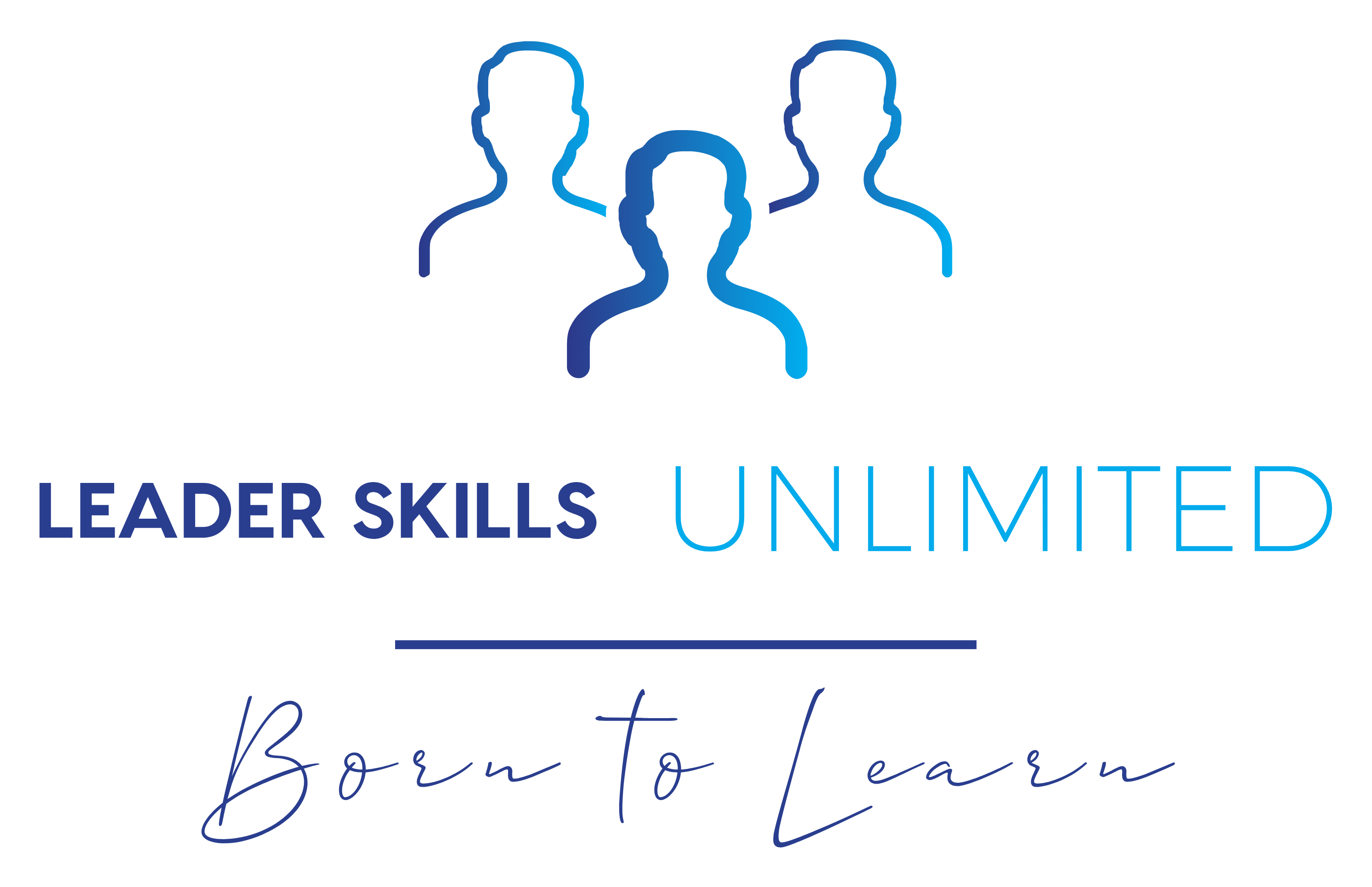 LADDER SKILLS UNLIMITED